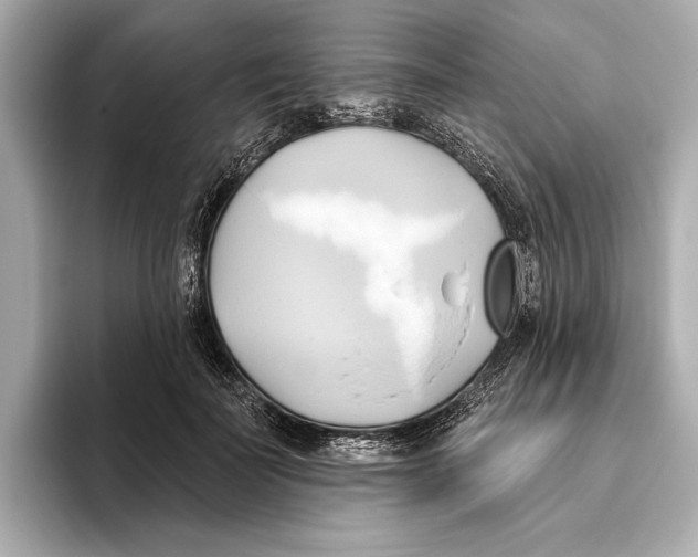 X0000095680699200802051251