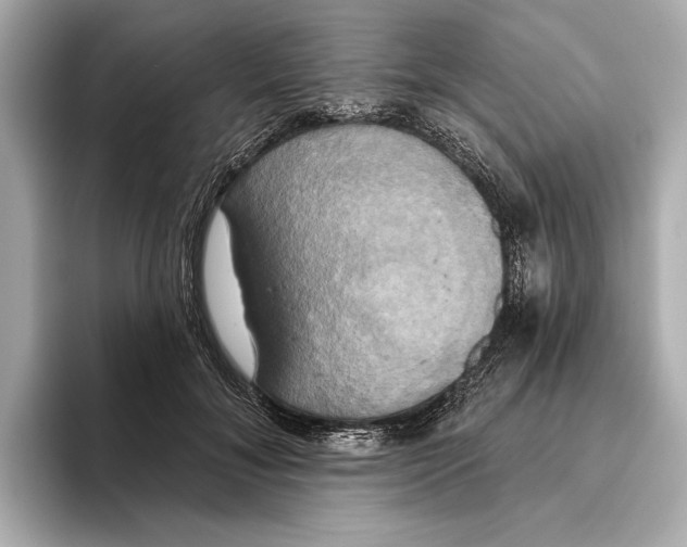 X0000095680700200802051251