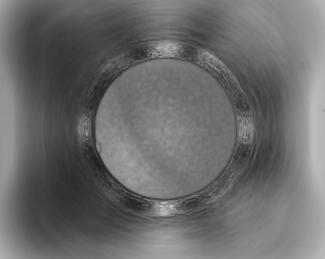 X0000095680701200802051251