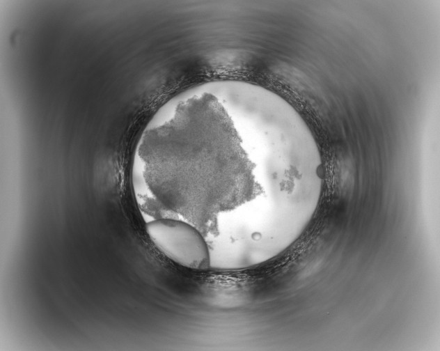 X0000095680703200802051251