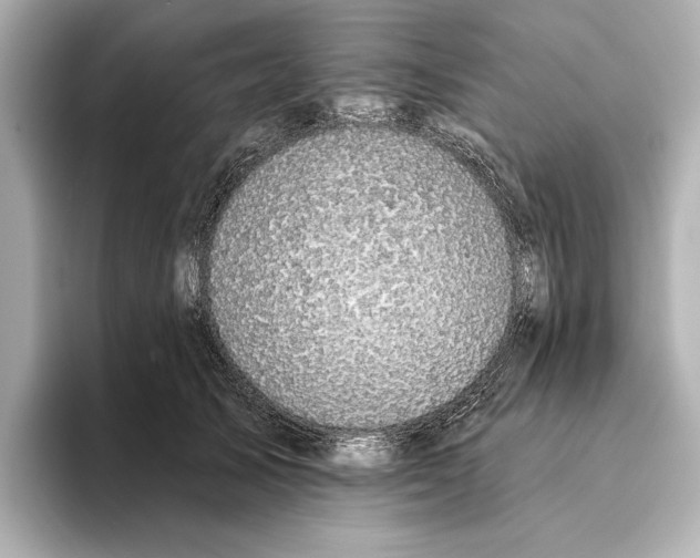 X0000095680705200802051251