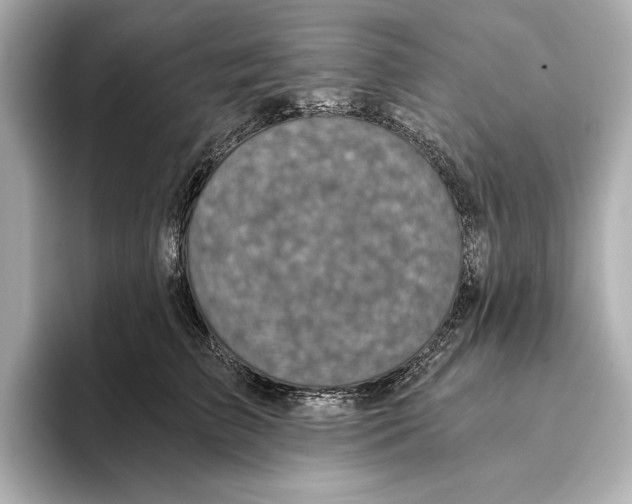 X0000095680709200802051251