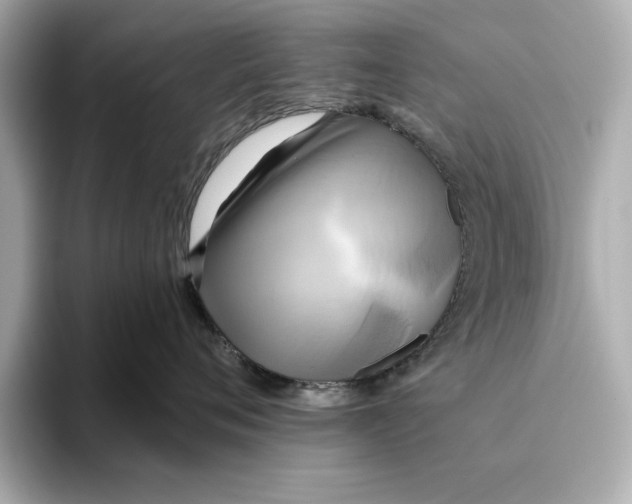 X0000095680720200802051251