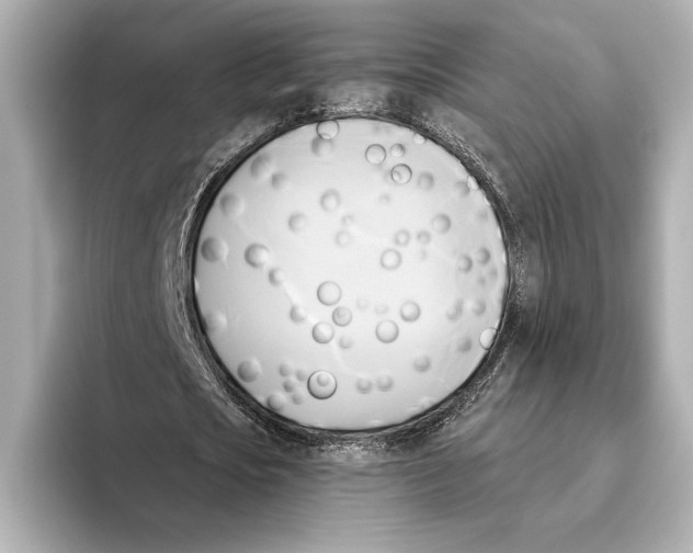 X0000095680721200802051250