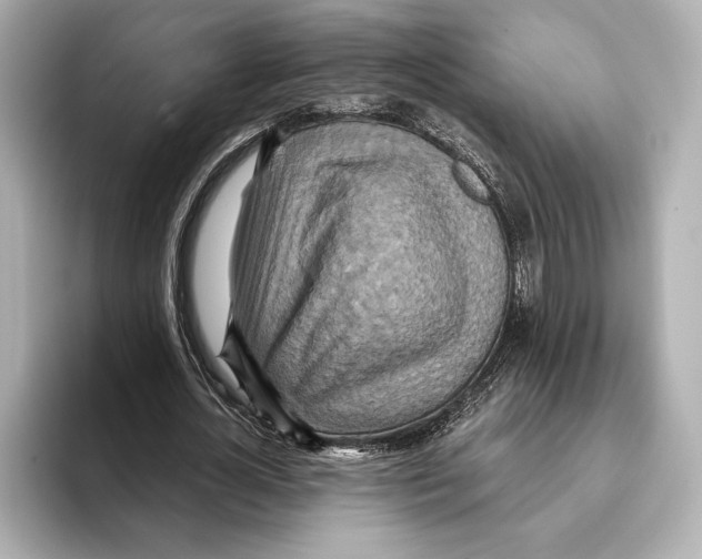 X0000095680724200802051250