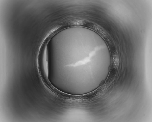 X0000095680726200802051250