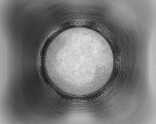 X0000095680727200802051250