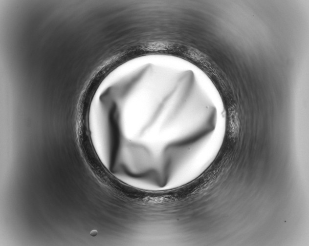 X0000095680728200802051250