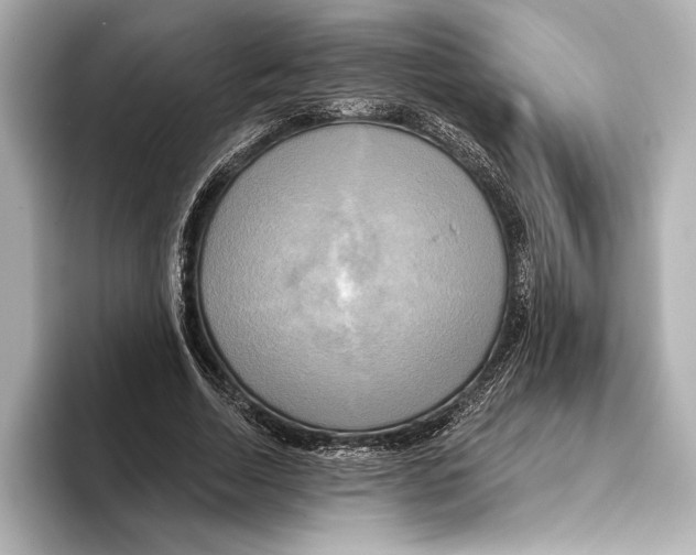 X0000095680730200802051250