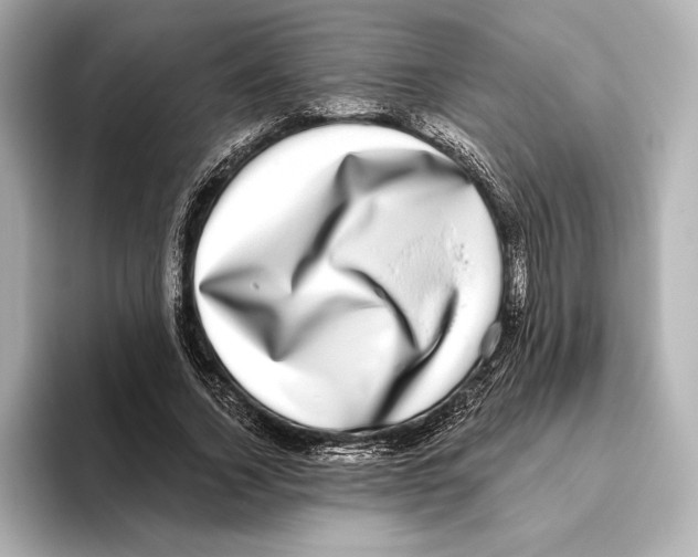 X0000095680732200802051250