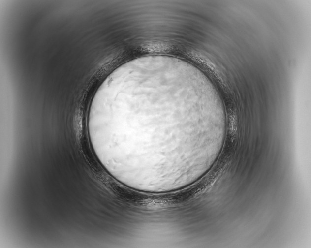 X0000095680733200802051250