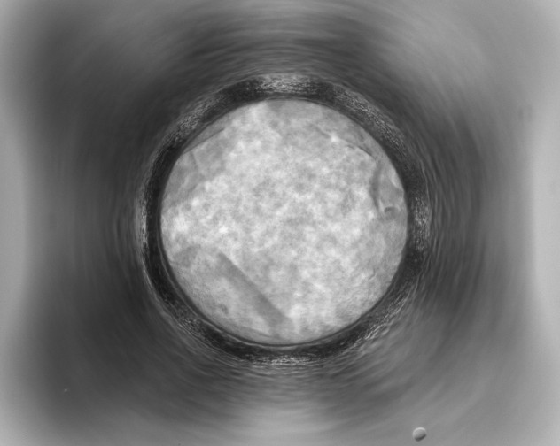 X0000095680734200802051250