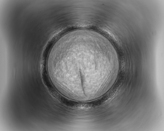 X0000095680736200802051250