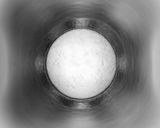 X0000095680737200802051250