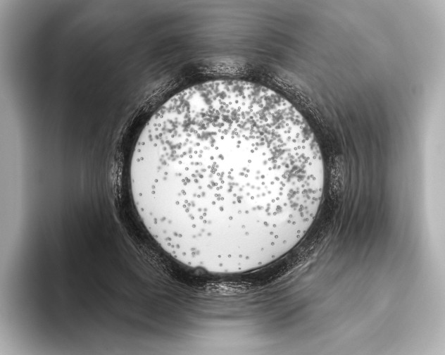 X0000095680739200802051250