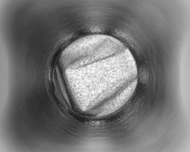 X0000095680740200802051250