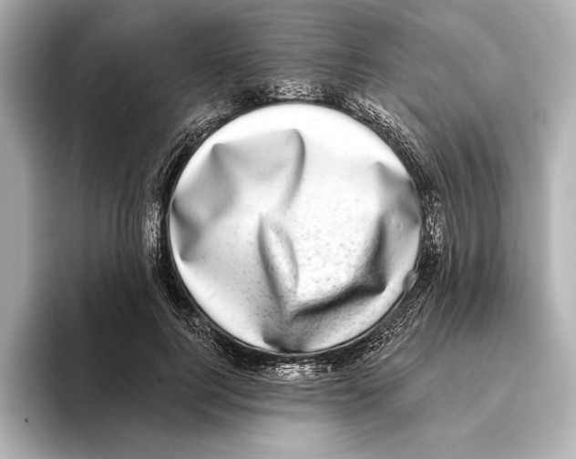 X0000095680744200802051250