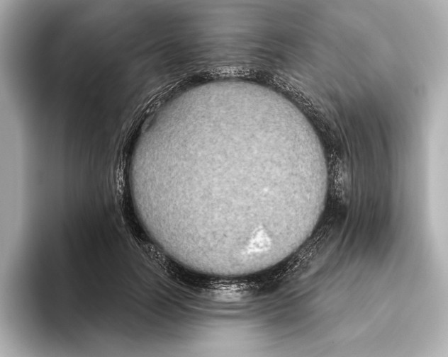 X0000095680746200802051251