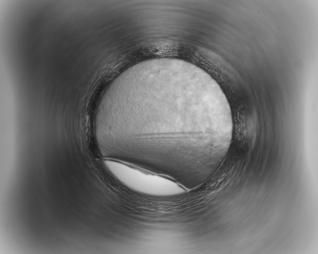 X0000095680748200802051251