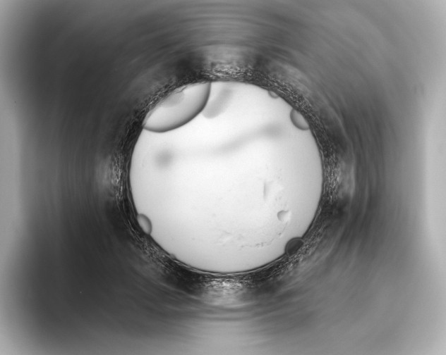 X0000095680749200802051251