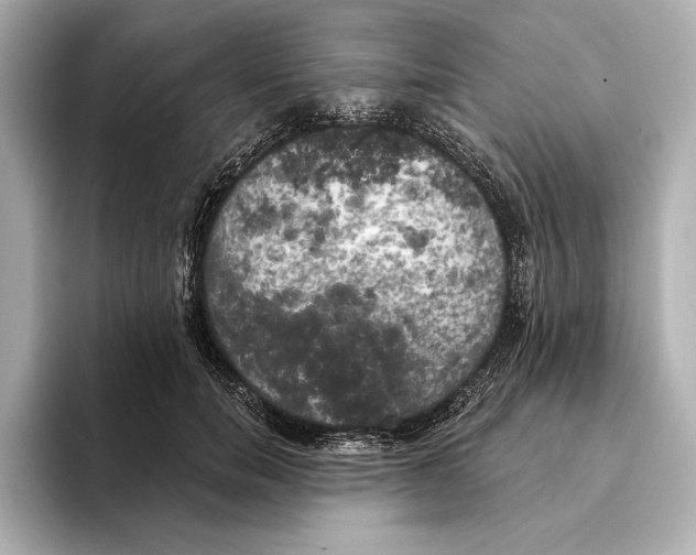 X0000095680750200802051251