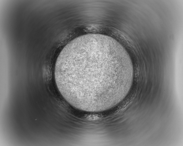 X0000095680751200802051251