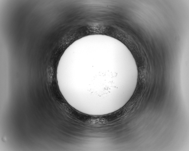 X0000095680752200802051251