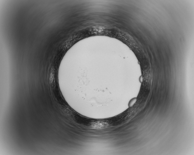 X0000095680754200802051251