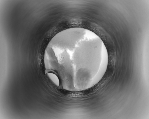 X0000095680758200802051251