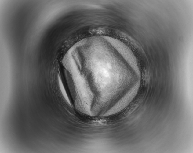 X0000095680760200802051251