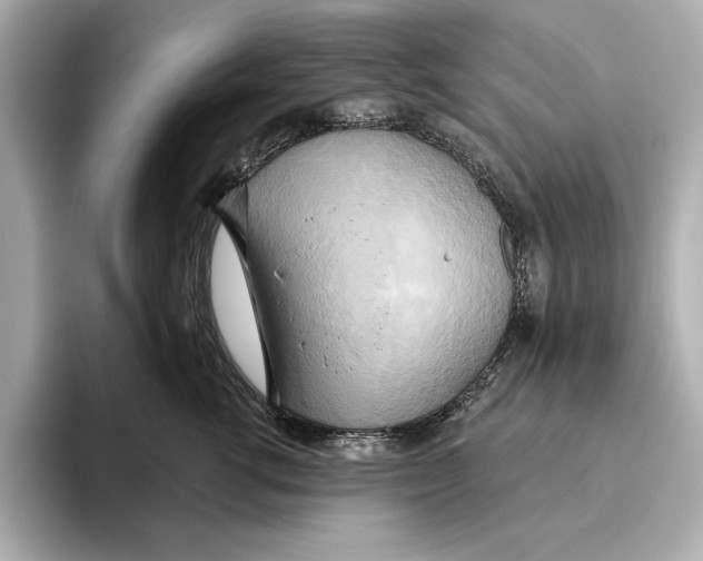 X0000095680762200802051251