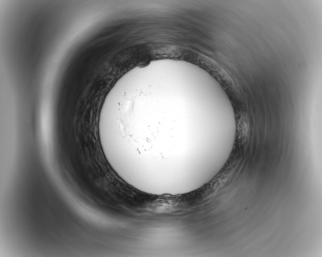 X0000095680764200802051251