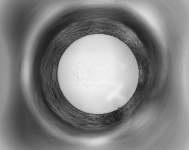 X0000095680765200802051251