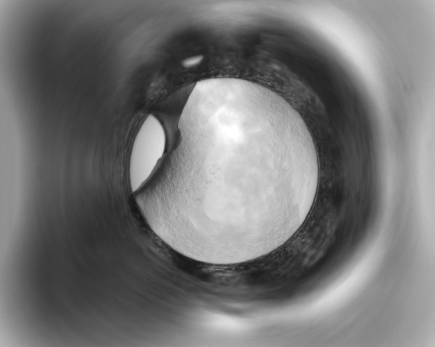 X0000095680766200802051251