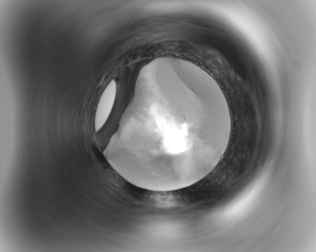 X0000095680767200802051251