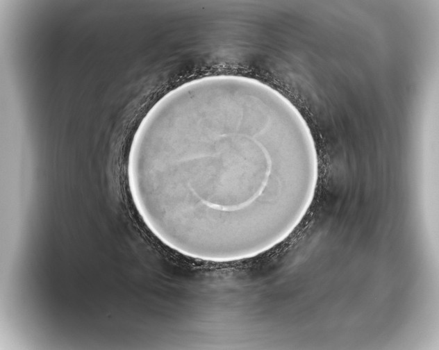 X0000095680769200802051250