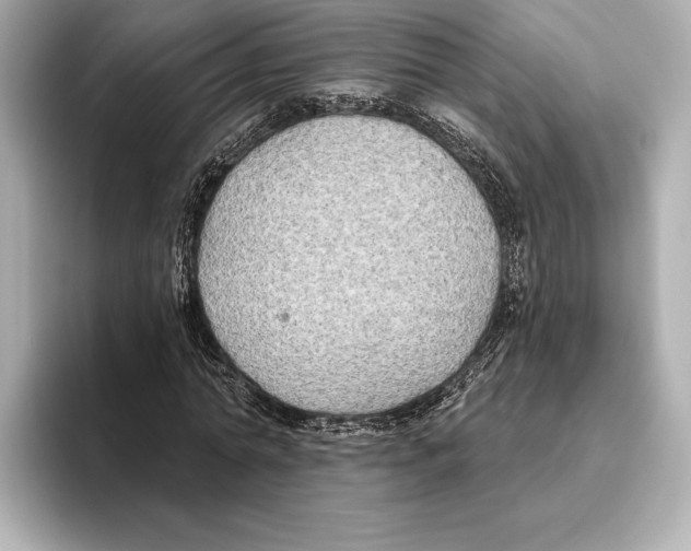 X0000095680774200802051250