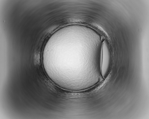 X0000095680777200802051250