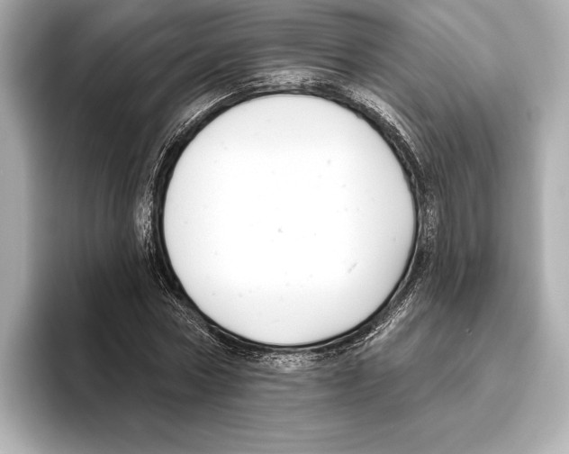 X0000095680778200802051250