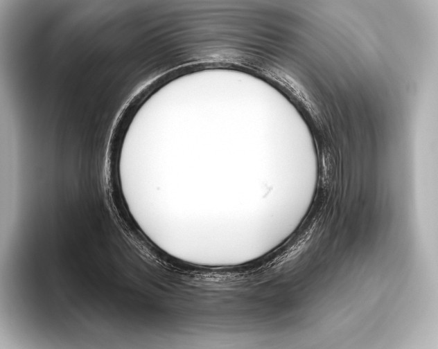 X0000095680780200802051250