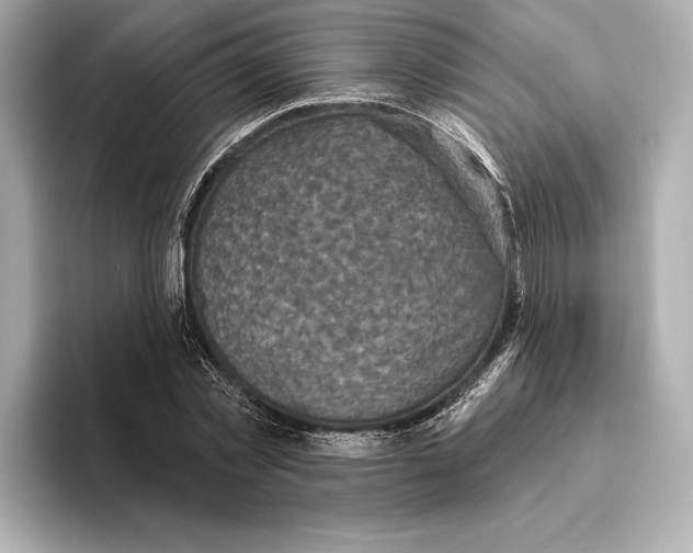 X0000095680781200802051250