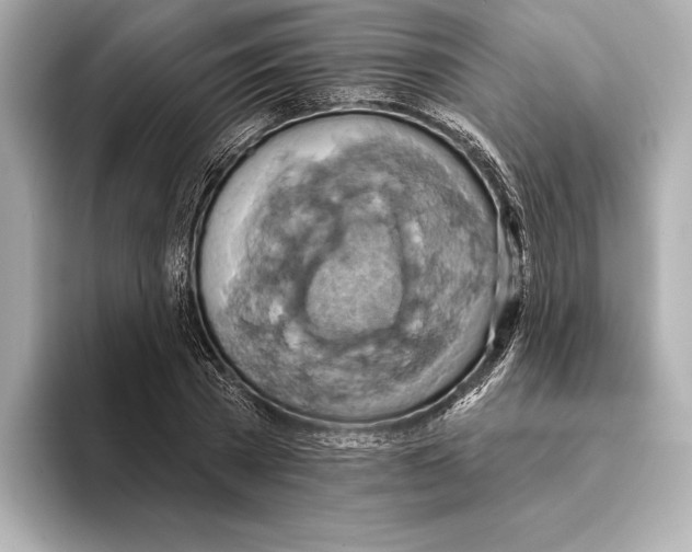 X0000095680785200802051250