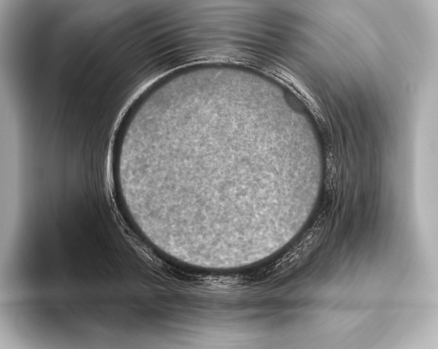 X0000095680788200802051250