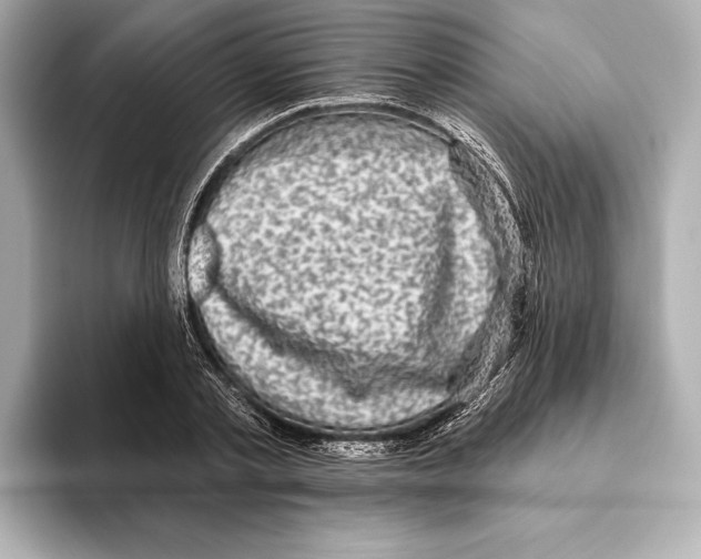 X0000095680789200802051250