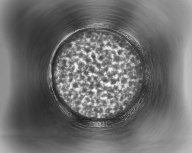 X0000095680792200802051250