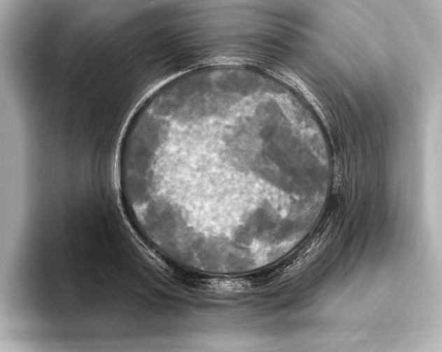 X0000095680795200802051250