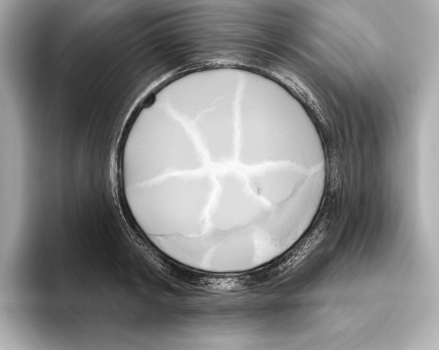 X0000095680798200802051250