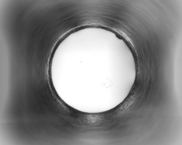 X0000095680799200802051250