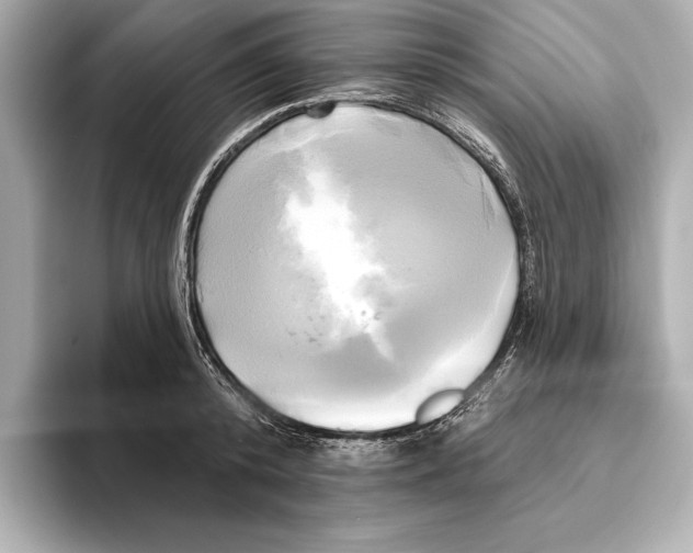 X0000095680800200802051250