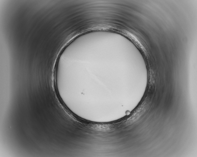 X0000095680802200802051250